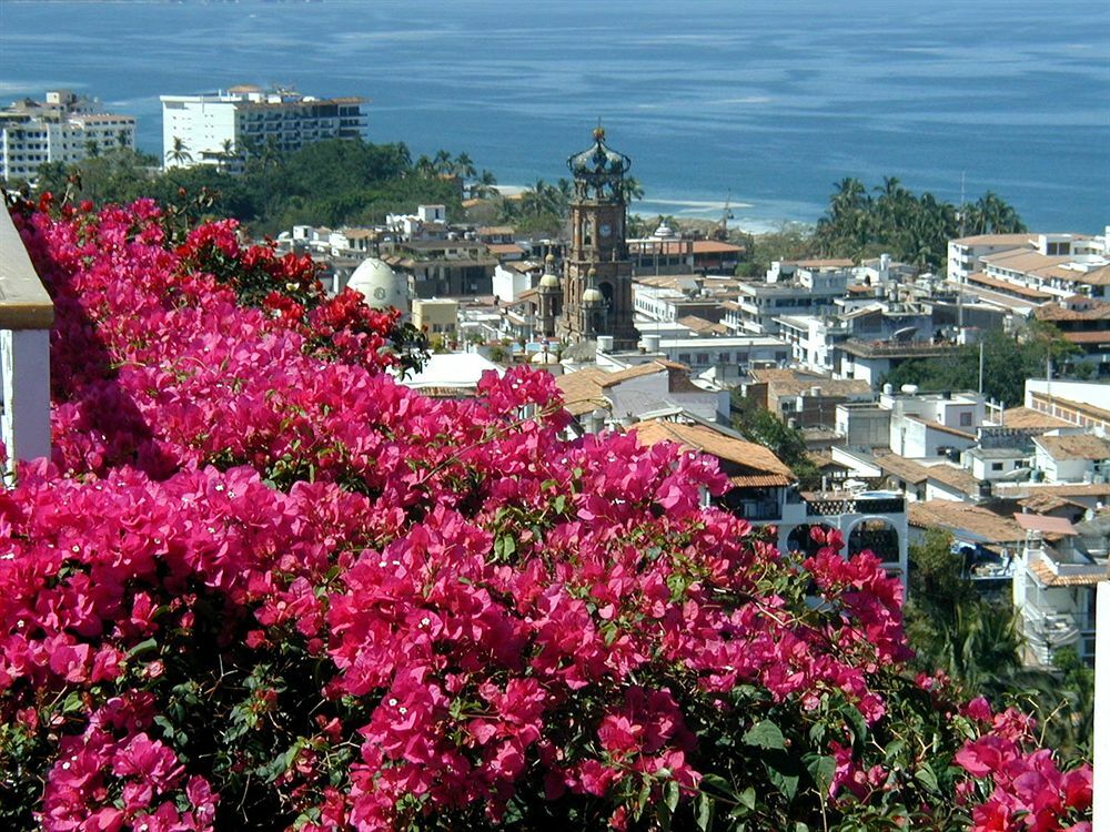 Hotel Suites La Siesta Puerto Vallarta Eksteriør billede