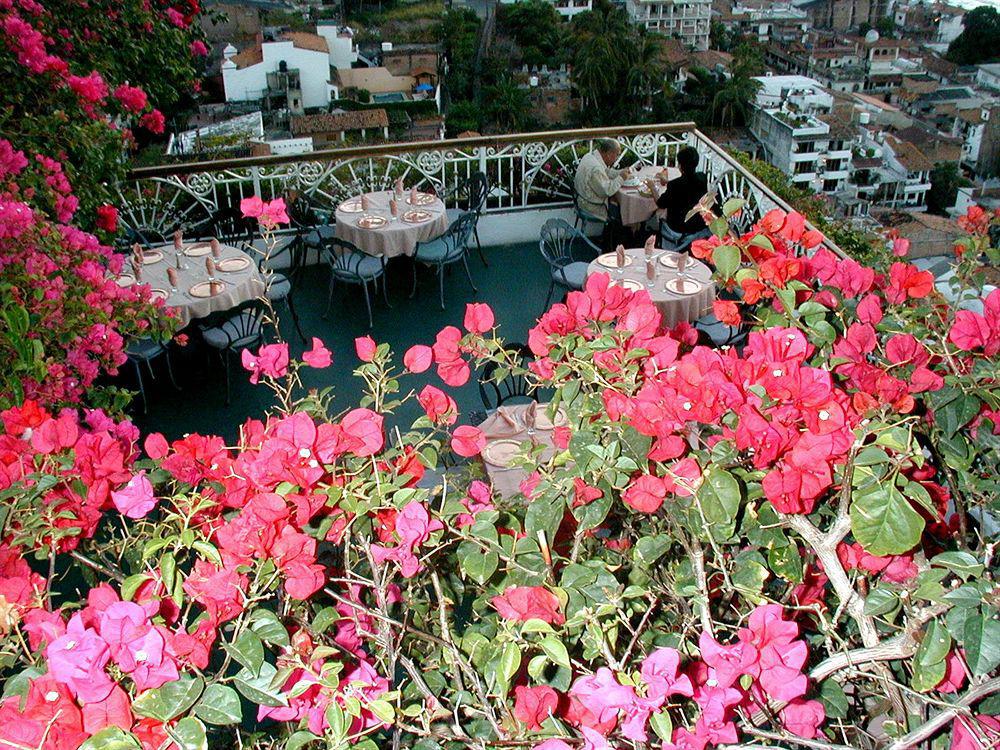 Hotel Suites La Siesta Puerto Vallarta Eksteriør billede